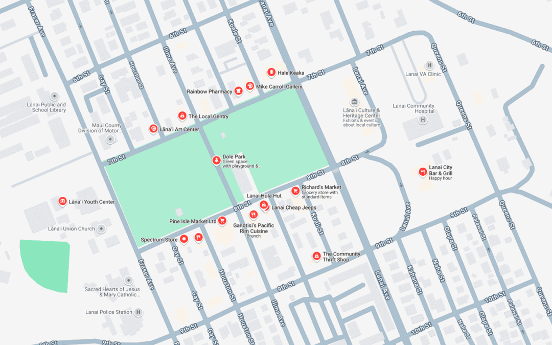 Guide & Tips for Shopping in Lāna‘i City